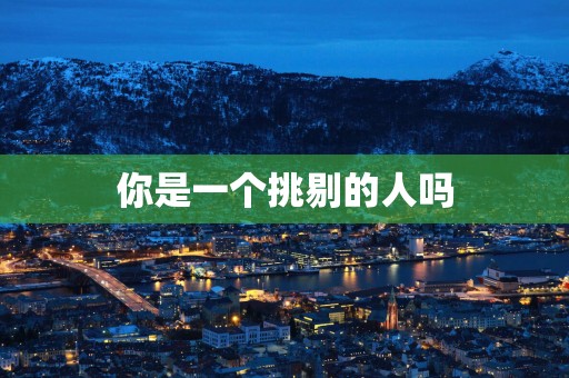 你是一个挑剔的人吗