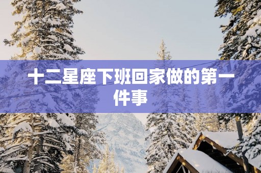 十二星座下班回家做的第一件事