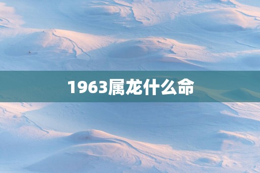 1963属龙什么命
