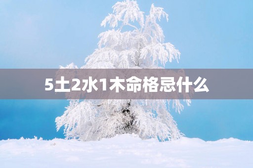 5土2水1木命格忌什么