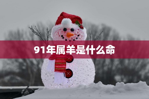91年属羊是什么命