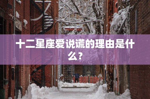 十二星座爱说谎的理由是什么？