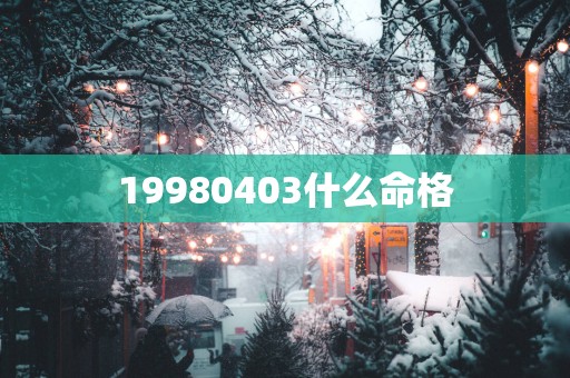 19980403什么命格