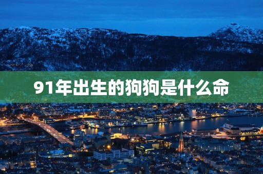 91年出生的狗狗是什么命