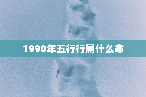 1990年五行行属什么命