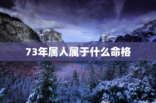 73年属人属于什么命格