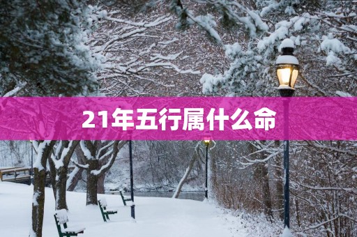 21年五行属什么命