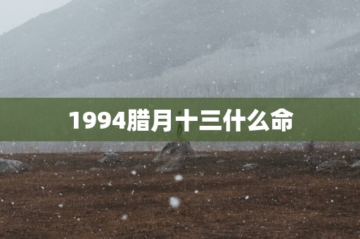 1994腊月十三什么命