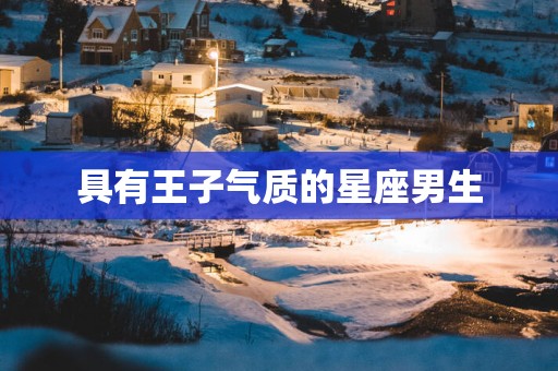 具有王子气质的星座男生