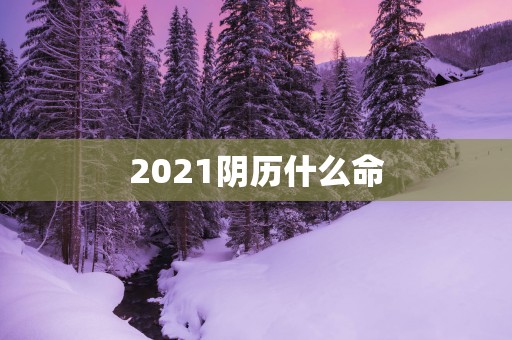 2025阴历什么命