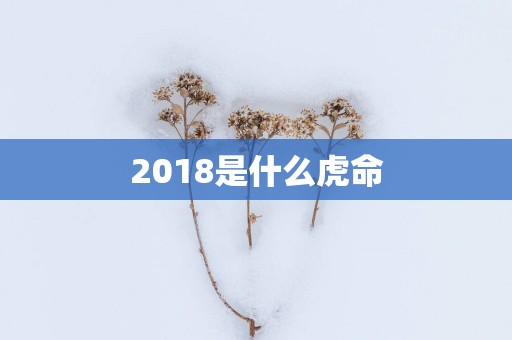 2018是什么虎命