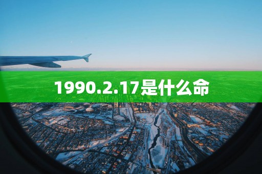 1990.2.17是什么命