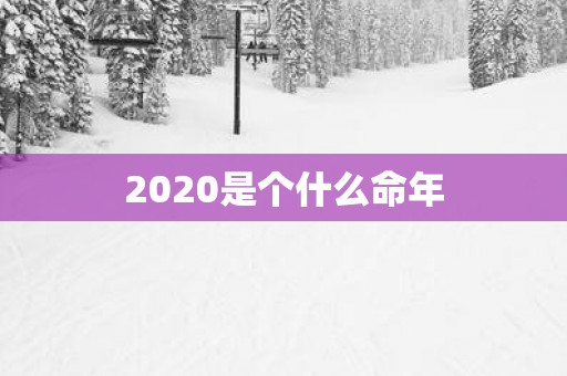 2025是个什么命年