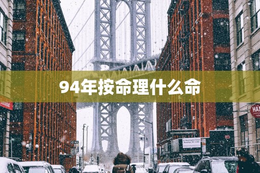 94年按命理什么命