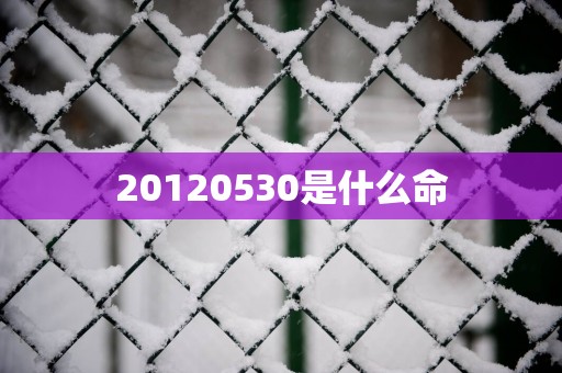 20120530是什么命