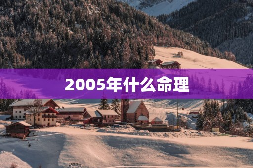 2005年什么命理