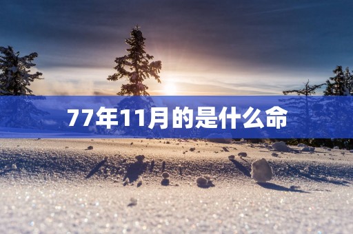 77年11月的是什么命