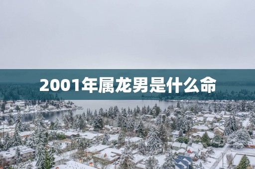 2001年属龙男是什么命