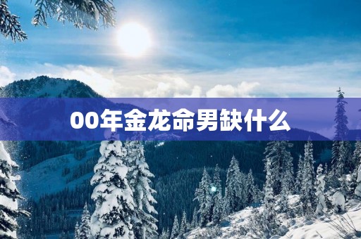 00年金龙命男缺什么
