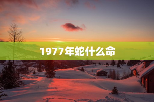 1977年蛇什么命