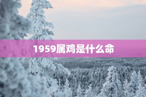 1959属鸡是什么命