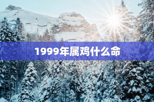 1999年属鸡什么命