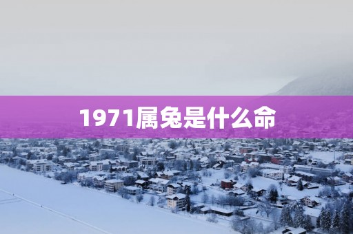 1971属兔是什么命