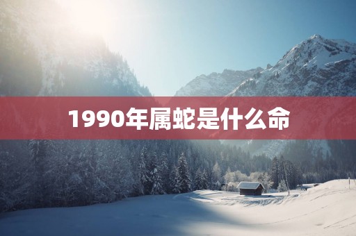1990年属蛇是什么命