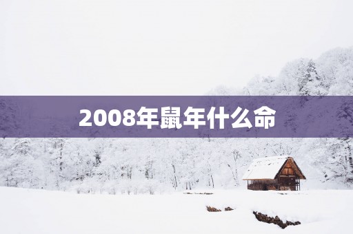 2008年蛇年什么命