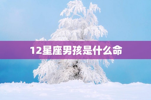 12星座男孩是什么命