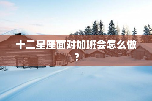 十二星座面对加班会怎么做？