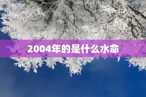 2004年的是什么水命