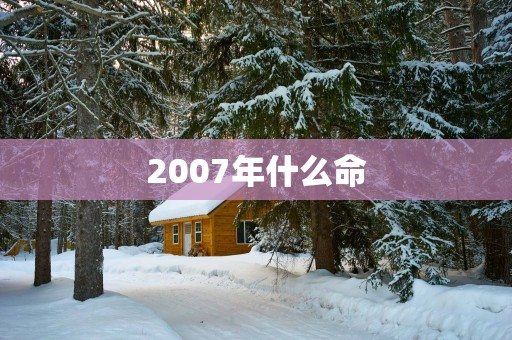 2007年什么命