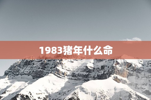 1983猪年什么命