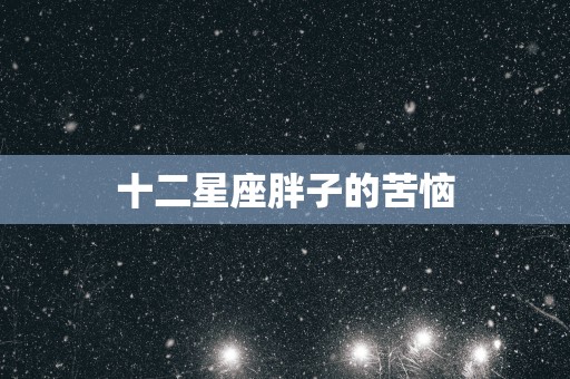 十二星座胖子的苦恼