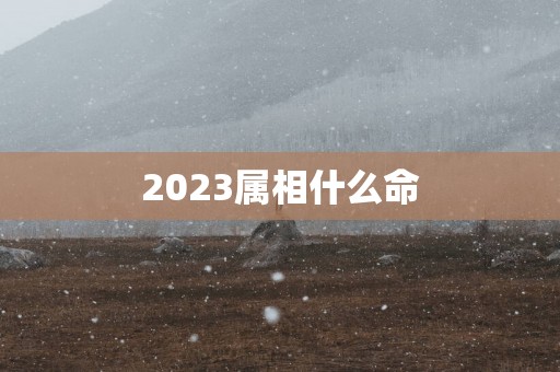 2025属相什么命