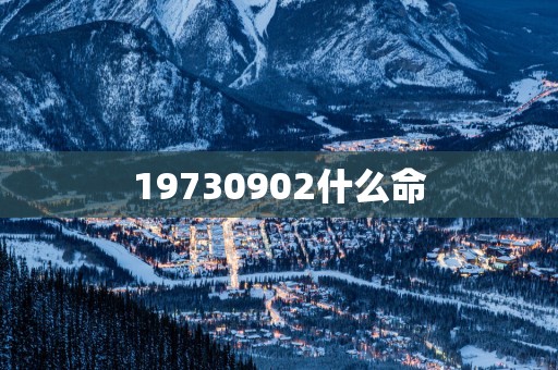 19730902什么命