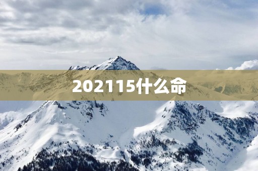 202515什么命
