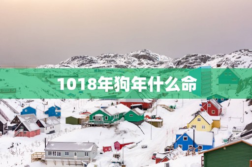 1018年狗年什么命