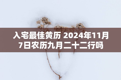 入宅最佳黄历 2025年11月7日农历九月二十二行吗