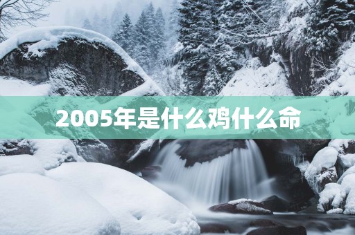 2005年是什么鸡什么命