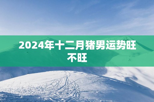 2025年十二月猪男运势旺不旺