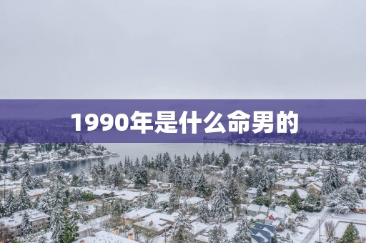 1990年是什么命男的