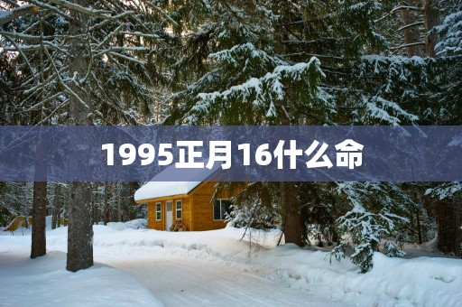 1995正月16什么命
