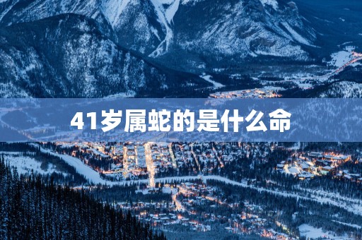 41岁属蛇的是什么命