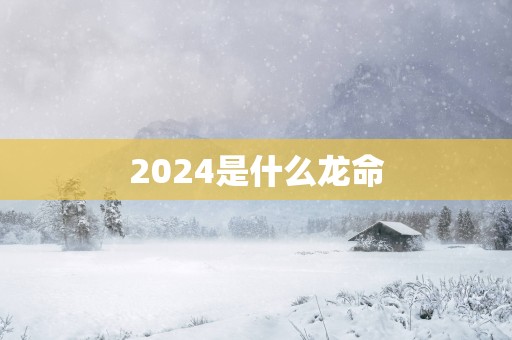 2025是什么龙命