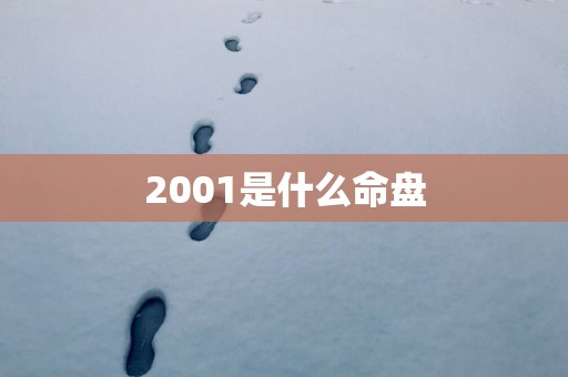 2001是什么命盘