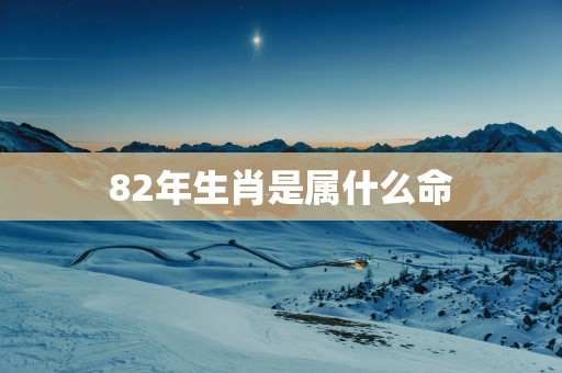 82年生肖是属什么命