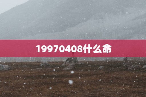 19970408什么命