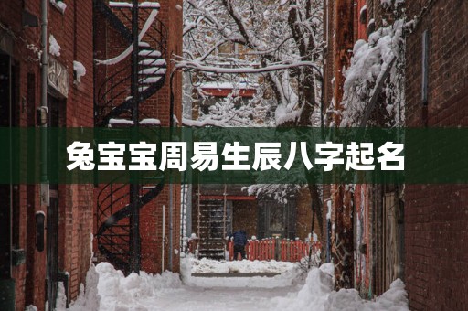 兔宝宝周易生辰八字起名